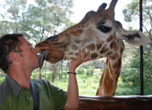 Поцелуй с жирафом