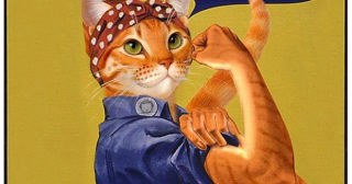 26 кошек - феминисток, нарушающих законы патриархата