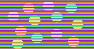 Новая оптическая иллюзия Мункера быстро набирает популярность в Сети
