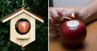 10 необычных способов использования яблок