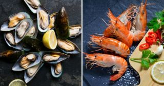 14 простых правил выбора свежих морепродуктов