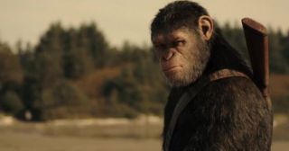 10 самых знаменитых обезьян в истории кино