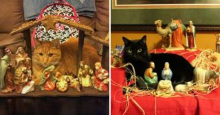 30 котов, которые восстали против Рождества