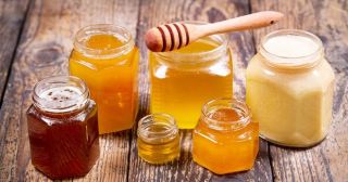 Натуральный или нет: 10 способов проверить мед