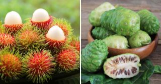 25 экзотических фруктов, о которых многие даже не слышали