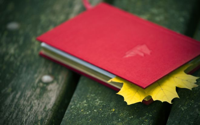 Положить кленовый лист вместо привычной закладки в дневнике