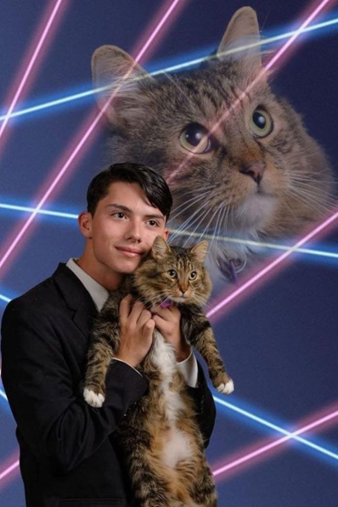 Праздничное фото с котом