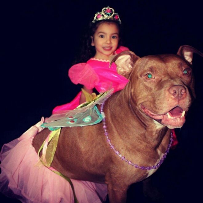 Маленькая принцесса и собака в пачке