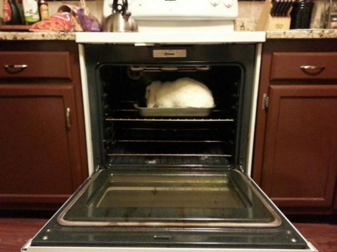 Кролик в духовке