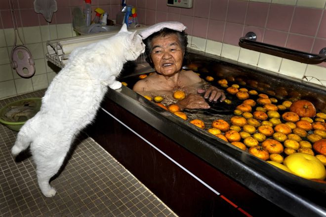 Кот наблюдает за тем, как бабушка принимает ванну