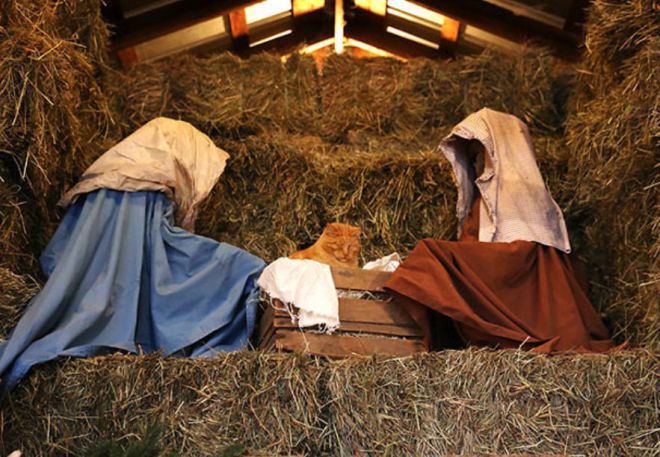 Тссс, Иисус родился и спит