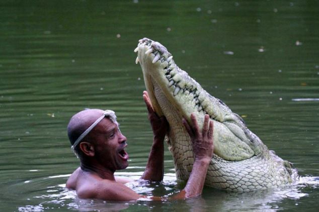 Самый ласковый крокодил 1