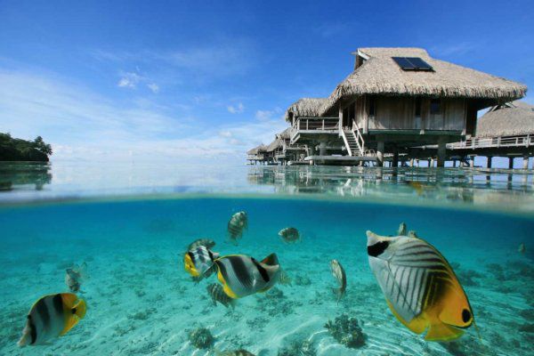 Bora Bora Lagoon Resort And SPA 2
