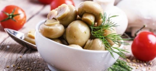 маринованные грибы шампиньоны быстрый рецепт самые вкусные
