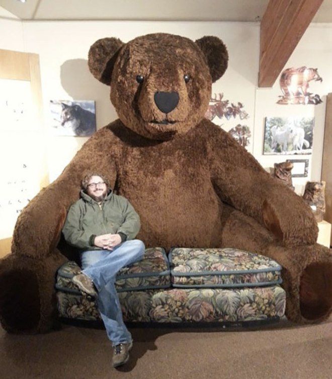Где Можно Купить Медведя