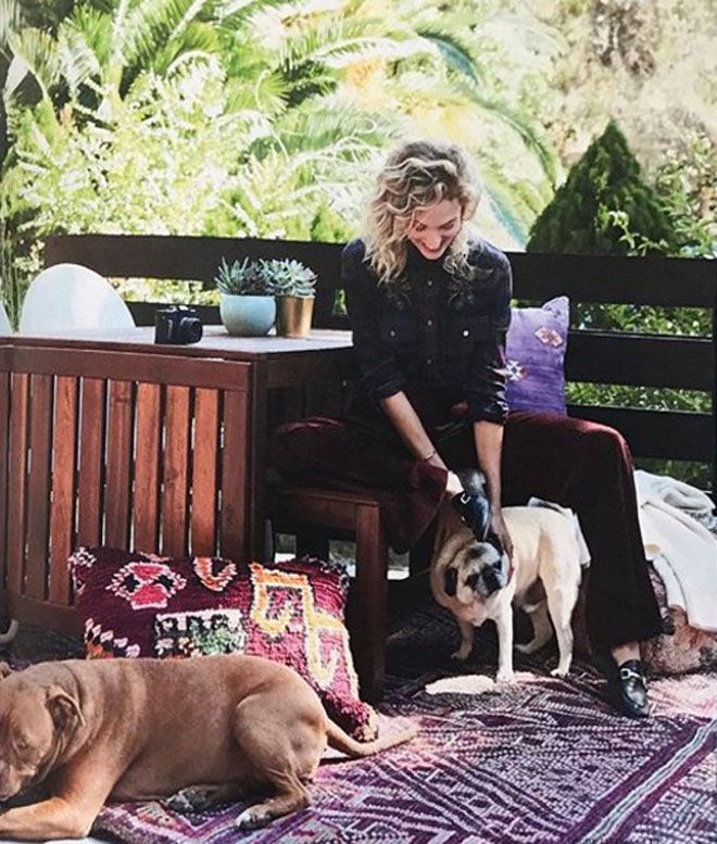 Аманда Бут в окружении собак