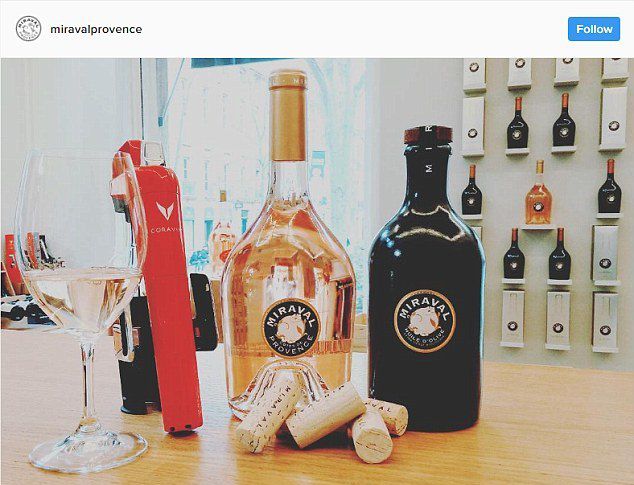Под брендом Miraval Анджелина Джоли и Брэд Питт выпускают вино и оливковое масло