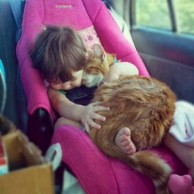 Кот и девочка