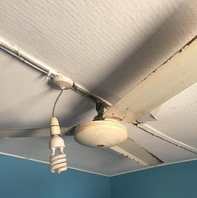 Лампа и вентилятор