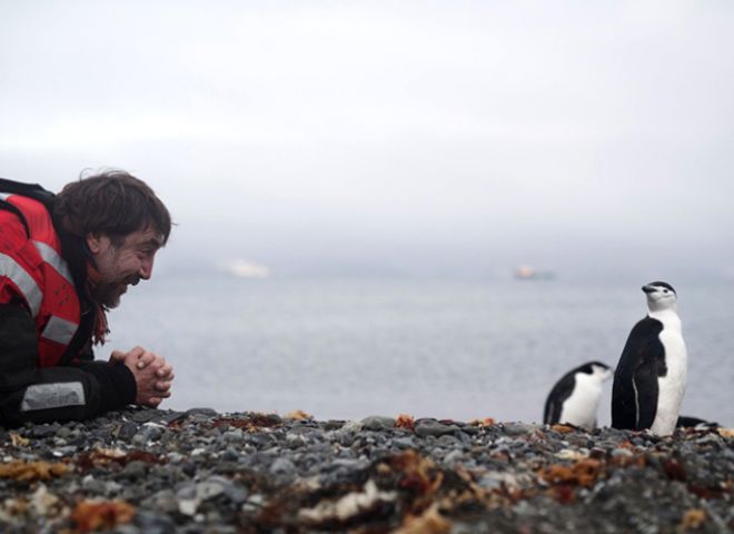 Хавьер наблюдает за пингвинами
