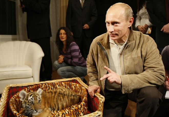 Путин и тигренок