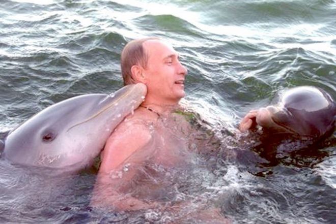 Путин и дельфины