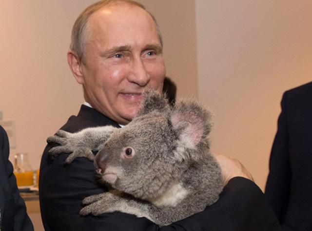 Путин и коала