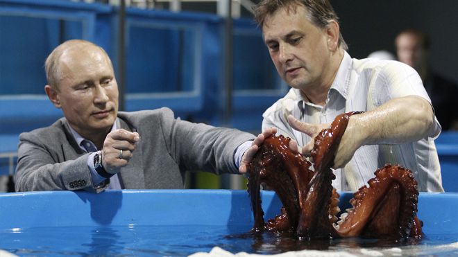 Путин и осьминог