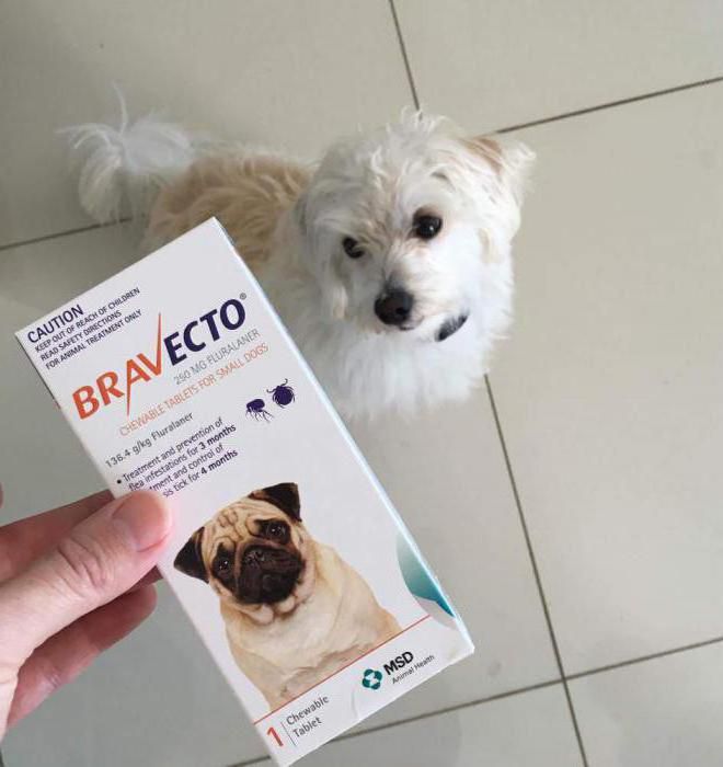 таблетки Бравекто для собак