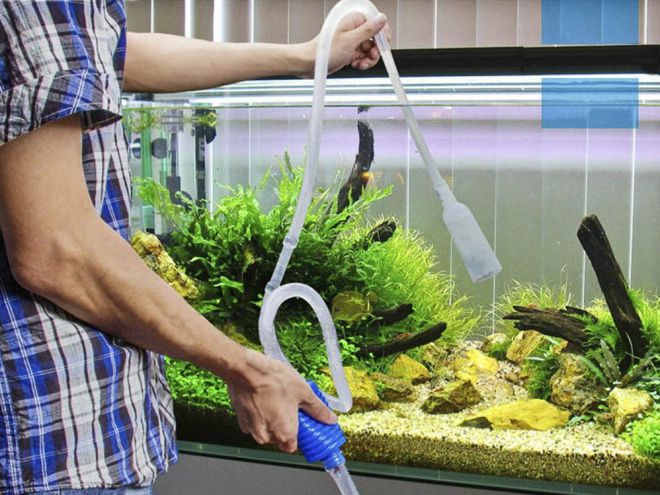 Как часто надо менять воду в аквариуме