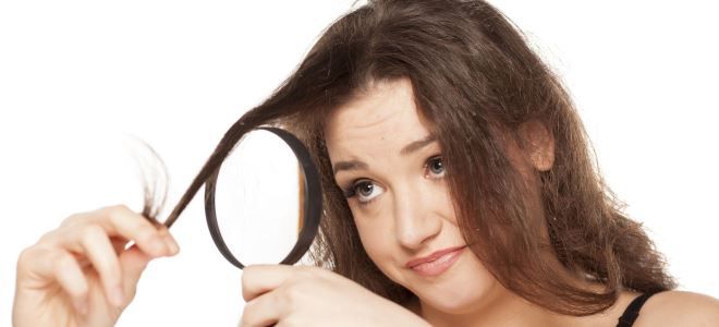 как восстановить окрашенные волосы в домашних условиях