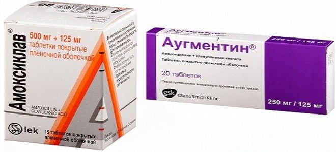Амоксиклав В Аптеке Астрахань