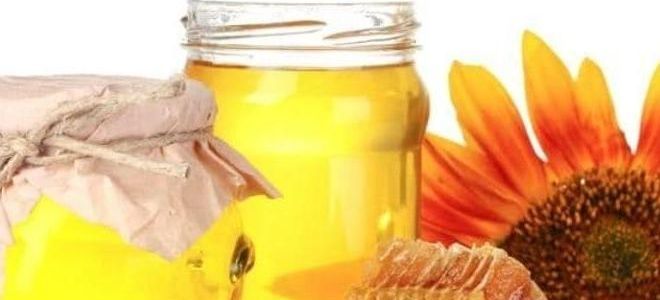 подсолнечный мед полезные свойства