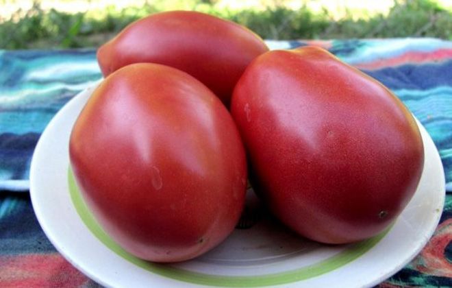 помидоры де барао гигант