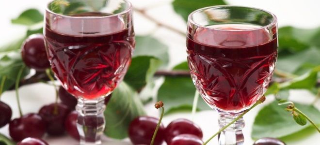 вино из вишневого компота