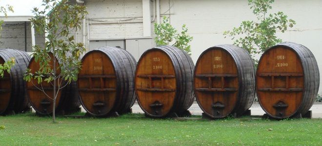 Винодельческое хозяйство Конча-и-Торо