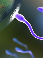 Как улучшить качество спермы?