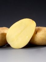 Картофель «Тимо» - описание сорта