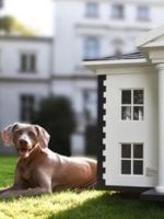 Собака для охраны частного дома