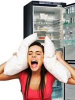 Уровень шума холодильника
