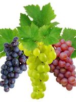 Виноград при диете