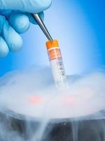 Витрификация клеточных эмбрионов