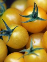 Желтые помидоры - сорта