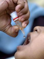 Прививка - полиомиелит