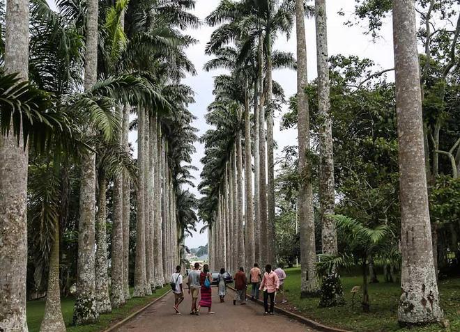 Ботанический сад Абури - уникальный природный заповедник