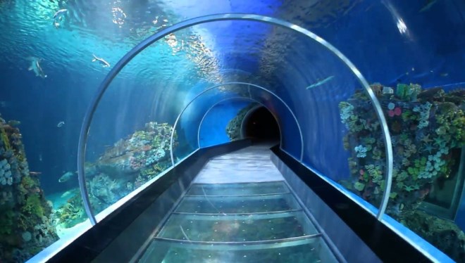 Туннели аквариума