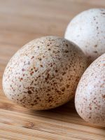 Утиные яйца - польза и вред 