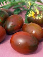 Высокоурожайные сорта томатов для теплиц