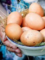 Куриное яйцо - калорийность 