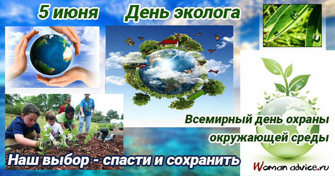 Поздравления с Днем эколога - открытка